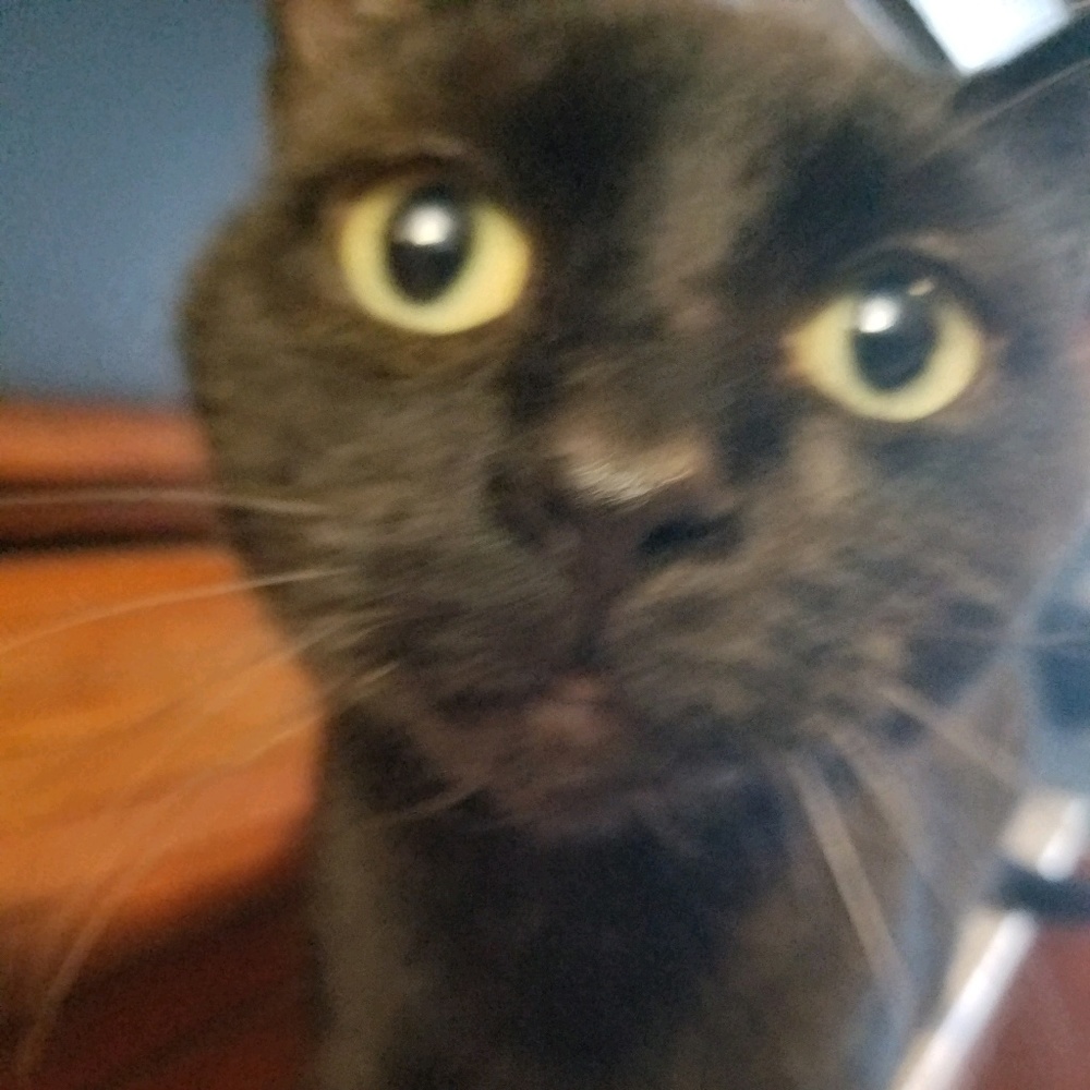 Meet your Posher, Christopher